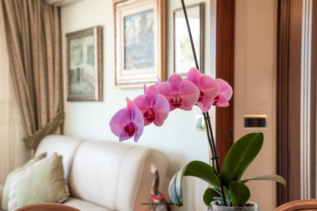 o_1ht9nlvu2sm91r07nprok1j4m30