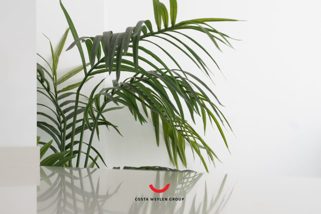 o_1i882l7gggl21d6c3i0vv93cq2o