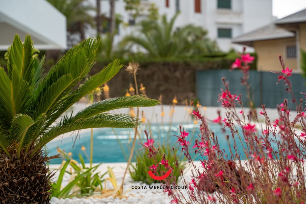 o_1i6u61c2s1irpdquf181gapvi53c